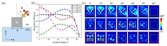 입사방향에 따른 Si 나노선의 광흡수 특성분포 전산모사. (a) 개녑도. 파장과 각도에 따른 (b) 광흡수 효율과 (c) 파장과 Mie 공진 모드 세기 분포 계산 결과