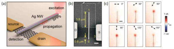 구현된 은 나노선 표면 플라즈몬 도파로와 결합된 그라핀 광검출기의 (a) 개념도 및 (b) 전자현미경 사진. (c) 광전류 분포 측정 결과 (그림 (b))에서 흰색 점선으로 표기된 사각형 영역내 측정 결과). 은 나노선에 수직한 편광으로 외부 입사광이 들어갔을 때 광전류 발생이 극대화되는 현상이 표면 플라즈몬의 발생과 그 검출을 보여줌