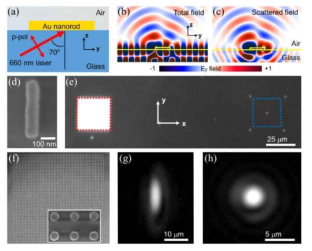 (a) 전반사 조건 입사광 개념도. (b), (c) 전반사 조건 입사광에 대한 나노구조의 광산란 전산모사. (c) 단일 금 나노막대 전자현미경 사진. (e) 전반사 입사광 확인용 금 나노디스크 어레이(붉은 점선)와 단일 금 나노막대 암시야 현미경 이미지. (f) 전반사 입사광 확인용 금 나노디스크 어레이 전자현미경 사진. (d) 전반사 입사광과 (h) 단일 금 나노막대 산란광 현미경 측정 결과