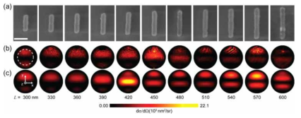 (a) 금 나노막대 (길이 300~600 nm) 전자현미경 사진. 금 나노막대의 광산란 모멘텀 영역 특성 분포 측정(b) 및 전산모사(c) 결과