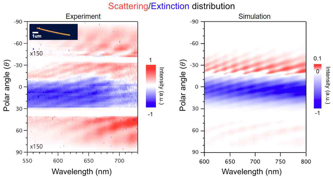 은 나노선(삽입 그림) 원장 광산란/광소멸 특성의 에너지(파장)-모멘텀(각도) 영역 분포 측정(좌측)과 전산모사(우측) 결과