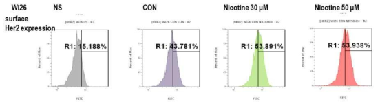 FACS analysis. nicotine은 cell surface에 발현하는 Her2/Neu receptor의 양을 늘림