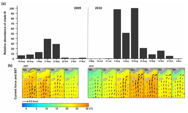 한국남해안에서 검출된 HABs 종 Pseudo-nitzschia pungens 동남아시아 개체군의 조사 시기별 상대적 정량값(a)과 조사정점 인근해역의 해류의 세기와 온도(b). (연구진의 선행과제 연구결과)