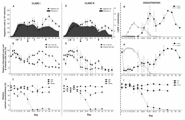 Pseudo-nitzschia pungens의 두 가지 ribotype(clade I; A-C, clade III; D-F)의 단독 배양 시에 나타나는 세포 성장 곡선(A, D), 세포 건강도(B, E), 영양염류 농도(C, F)의 변화 및 공 배양시에 나타나는 세포 성장 곡선(G), 세포 건강도(H), 영양염류 농도(I)의 변화