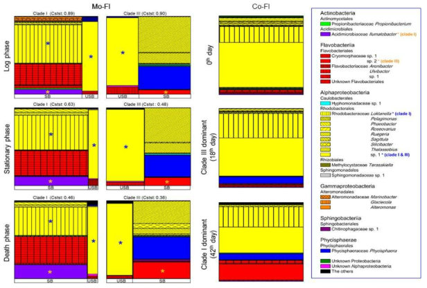 차세대 염기서열을 통한 P. pungens clade I과 clade III 배양주의 단독 배양(Mo-Fl)과 혼합 배양(Co-Fl)시 박테리아 군집의 변화. Mo-Fl에서 괄호안 숫자는 상대적 세포 건강상태를 뜻함