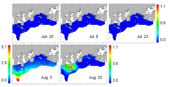 2019년 여름-가을 기간에 한국 남해 연안에서 관찰된 Pseudo-nitzschia pungens clade III의 현존량 및 분포 변화