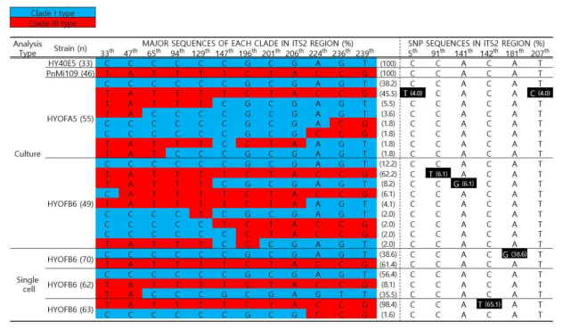 Pseudo-nitzschia pungens 부모(clade I, clade III)와 F2세대(offspring) 배양주들의 ITS2영역 클로닝 결과. 파란색과 빨간색은 각각 clade I과 clade III 타입의 염기설을 의미하며 검은색은 단일염기돌연변이가 나타난 좌위임