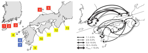 한국과 일본해역에서의 코클로디니움의 개채군 유전학적 분석. 한국과 일본해역에서의 genotype별 Cochlodinium의 지리적 분포(왼쪽; 각 색은 genotype의 종류를 뜻함) 및 유전자 교환 현황(오른쪽). (Nagai et al., 2009)