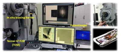 본 연구팀이 구축한 전기화학적 실시간 전자현미경 분석 시스템