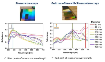 실리콘 나노필라와 하이브리드 나노필라의 지름별 반사스펙트럼 비교