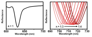 매질의 굴절률이 1 일 때 (좌), 1.3 ~ 1.4로 변화할 때(우)의 나노구조의 반사도 그래프