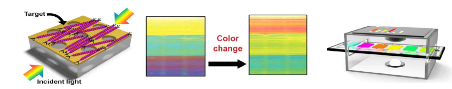 바이오 타겟 물질에 의한 색변환 센서 개념도 및 색변환 시스템 개략도