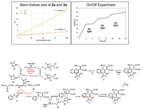 광 촉매를 이용한 Quinoline 합성법 메커니즘 제시