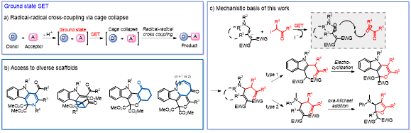 SET을 기반으로 한 라디칼-라디칼 교차 짝지음 및 합성법의 응용