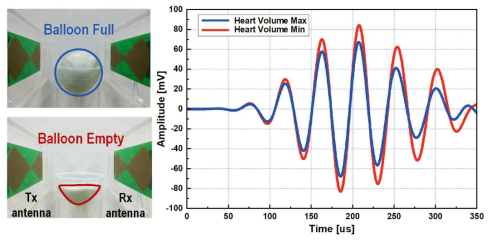 심장모형의 부피가 최소, 최대일 때 관통할 때 측정된 신호의 비교 결과