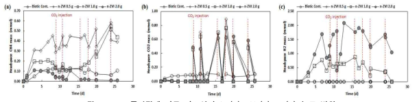 nZVI 주입량에 따른 가스상의 CH4(a), CO2(b), H2(c) 농도 변화