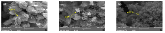 nZVI 농도에 따른 혐기성 바이오매스에 NZVI 부착 SEM 사진(a: 6.25 g/L; b:12.5 g/L; c:25 g/L)