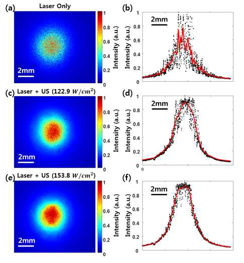 7mm 두께를 갖는 생체조직 모사팬텀에 레이저만 조사하면서 CCD카메라를 이용해 측정한 팬텀을 투과한 후의 광 에너지 분포도(a)와 가로방향으로의 빔 프로파일(b). (c) - (e)는 초음파와 광을 동시에 조사했을 때의 광 에너지 분포도
