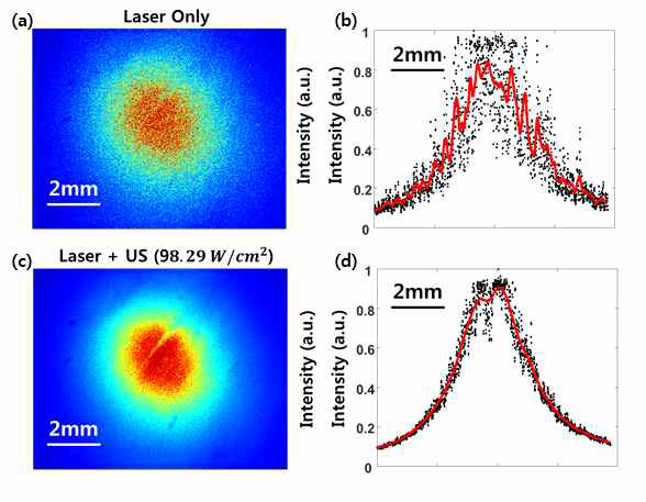 7 mm 두께를 갖는 닭가슴살에 레이저만 조사하면서 CCD카메라를 이용해 측정한 닭가슴살을 투과한 후의 광 에너지 분포도(a)와 가로방향으로의 빔 프로파일(b). (c) - (d)는 초음파와 광을 동시에 조사했을 때의 광 에너지 분포도