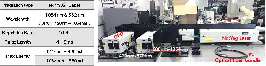광음향 영상을 위한 레이저 시스템 사양(좌) 및 레이저 발생 시스템 사진(우)