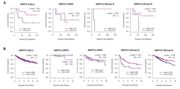 medulloblstoma subgroup 별 AMOTL2 발현과 관련 survival probability