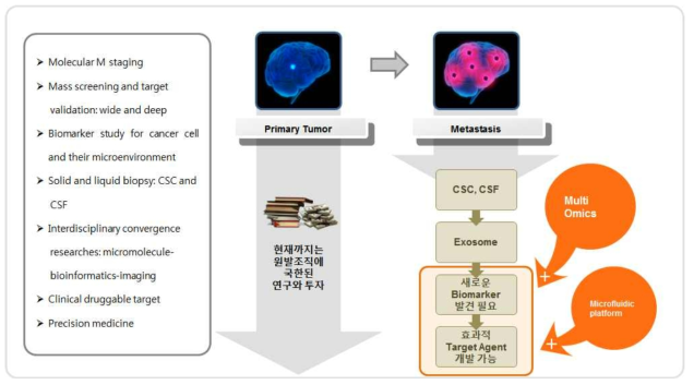 뇌암 전이에 대한 차별화된 연구분석의 필요성