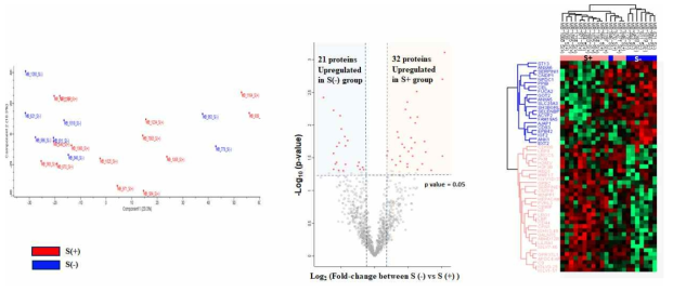 악성뇌암 전이와 비전이 환자 CSF protein 분석한 PCA score plot, volcano plot 및 heatmap