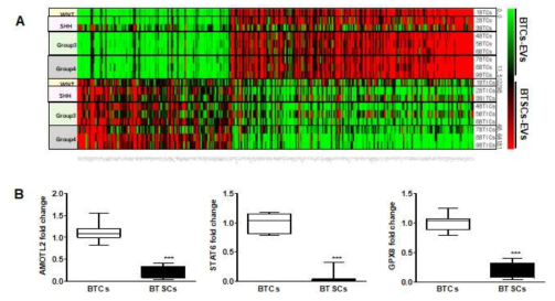 뇌종양세포와 비교하여 뇌암줄기세포 mRNA 분석을 통해 miR-135b와 miR-135a의 target gene, AMOTL2를 발굴함