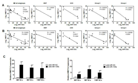 miR-135b 또는 miR135a와 발굴된 AMOTL2의 상관관계 및 miR-135b or miR-135a 억제에 의한 AMOTL2의 조절