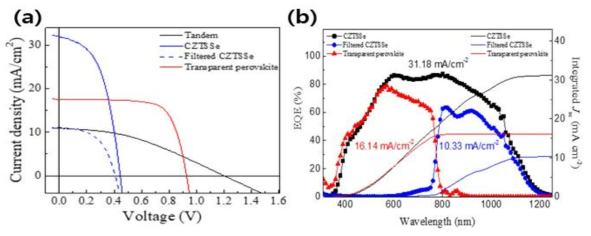 (a) CZTS/페로브스카이트 탠덤셀, 하부셀, 상부셀의 J-V 특성, (b) 하부셀, 상부셀의 EQE