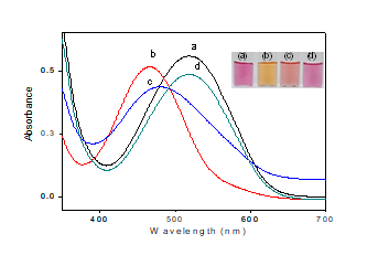 UV-visible absorbance of (a) ARS in 0.1 M phosphate buffer (1.44 x 10-4M, pH 7.4), (b) ARS (1.44 x 10-4M) with OAB (1.5 x10-3M), (c) ARS (1.44 x 10-4M) with OAB (1.5 x10-3M) and glucose (0.5 M), (d) ARS (1.44 x 10-4M) with OAB (1.5 x10-3M) and fructose (0.5 M). Inset: Digital images of the solution (a), (b), (c), and (d), respectively