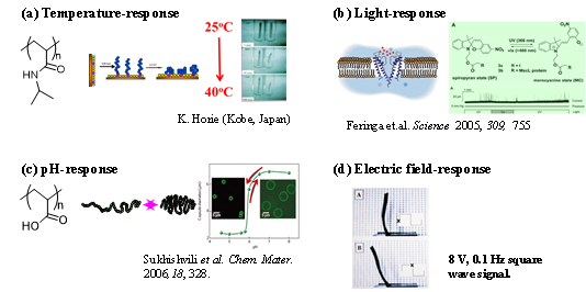자극-감응성 재료의 예제. (a) 온도-감응성 재료, (b) 광-감응성 재료,1 (c) 산도-감응성 재료2 (d) 전기장-감응성 재료