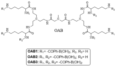 페닐보론산 수(2, 4, 6)가 조절된 OAB1, OAB2, OAB3의 화학적 분자구조