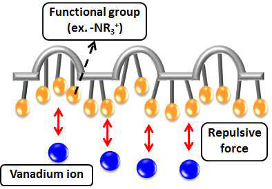 음이온 교환막의 작용기와 바나듐 이온 간의 전기적 척력