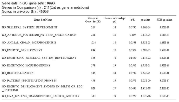 219의 DEG 기반 top 10 overlapping gene sets