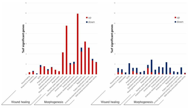 상처치유, 형태발생 유전자 그룹에 대한 각 흉터별 유전자 발현량(좌-비후성 흉터, 우-켈로이드)