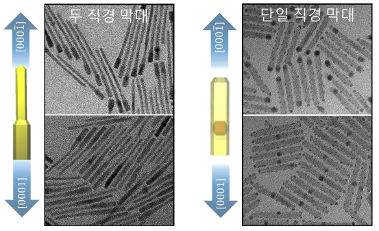 양 장축방향 성장속도가 제어된 두 직경을 갖는 나노막대구조와 단일직경 코어/쉘 나노막대 구조