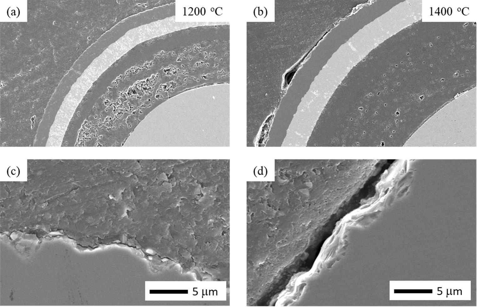 1200℃ (a, c)와 1400℃ (c, d)에서 산화평가한 ZrC/SiC 다중코팅 TRISO 입자의 SEM 이미지