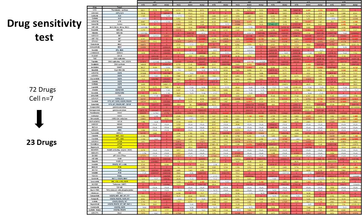 혈관육종 일차세포주를 이용한 drug screening 분석