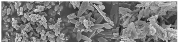 전구체 합성 단계의 pH 조절에 따른 CuOx particle 들의 SEM 이미지 (왼쪽부터 pH=9, 10, 11)