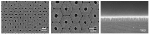 임프린팅 기법과 인가 전압 정밀 조절에 의하여 생성된 계층형 나노포어 (hiearchical nanopore) AAO로부터 생성된 계층형 Cu nanopore 구조