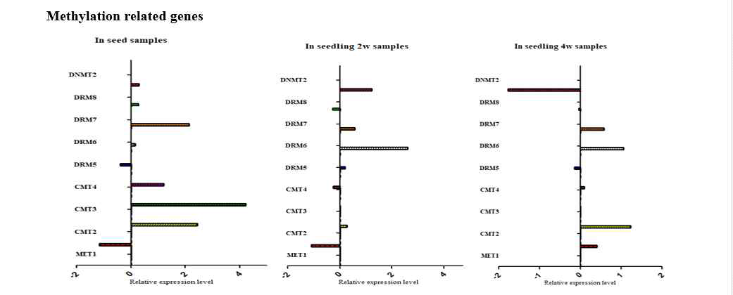 Methylation related gene expression 양상 분석