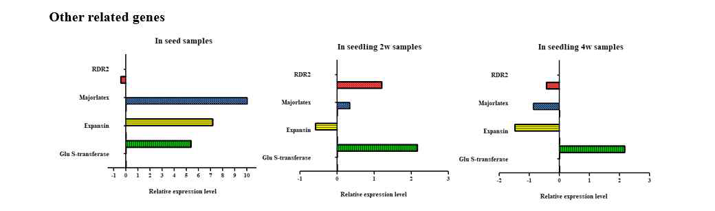 Other related gene expression 양상 분석