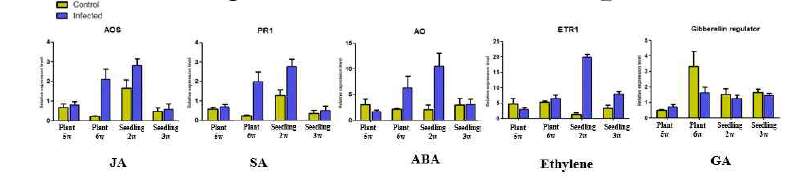 감염 종자에서 발아한 유묘와 바이러스를 접종한 유묘에서의 hormone related genes 양상 비교 분석