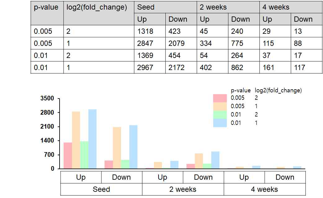 RNAseq을 통한 종자, 2, 4주차 유묘에서의 DEGs 분석 결과