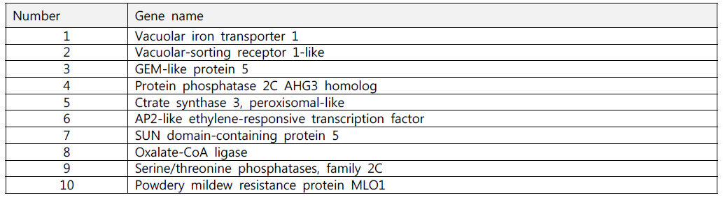 Transgenic plant 제작을 진행한 10개 후보 유전자