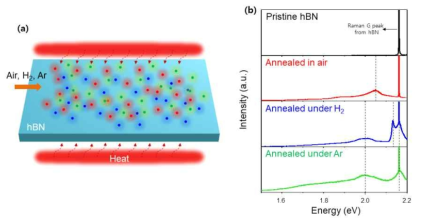 열적 활성화를 통한 결함 생성. (a) 열적 활성화를 통한 hBN의 결함 형성과정 모식도. (b) 다양한 조건의 열적 활성화를 거친 hBN의 발광 스펙트럼
