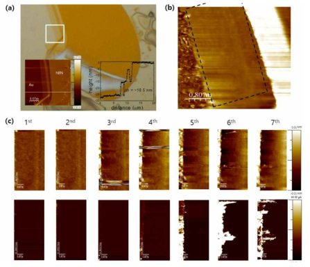 전도성 원자힘 현미경을 통한 결함 생성. (a) 금 기판에 박리된 hBN의 광학 이미지와 두께 측정. (b) 측정하고자 하는 국소 지역의 원자힘 현미경 이미지 (c) 순차적인 전압 인가에 따른 hBN의 두께와 전도도 비교(위: 높이, 아래 : 전도도)