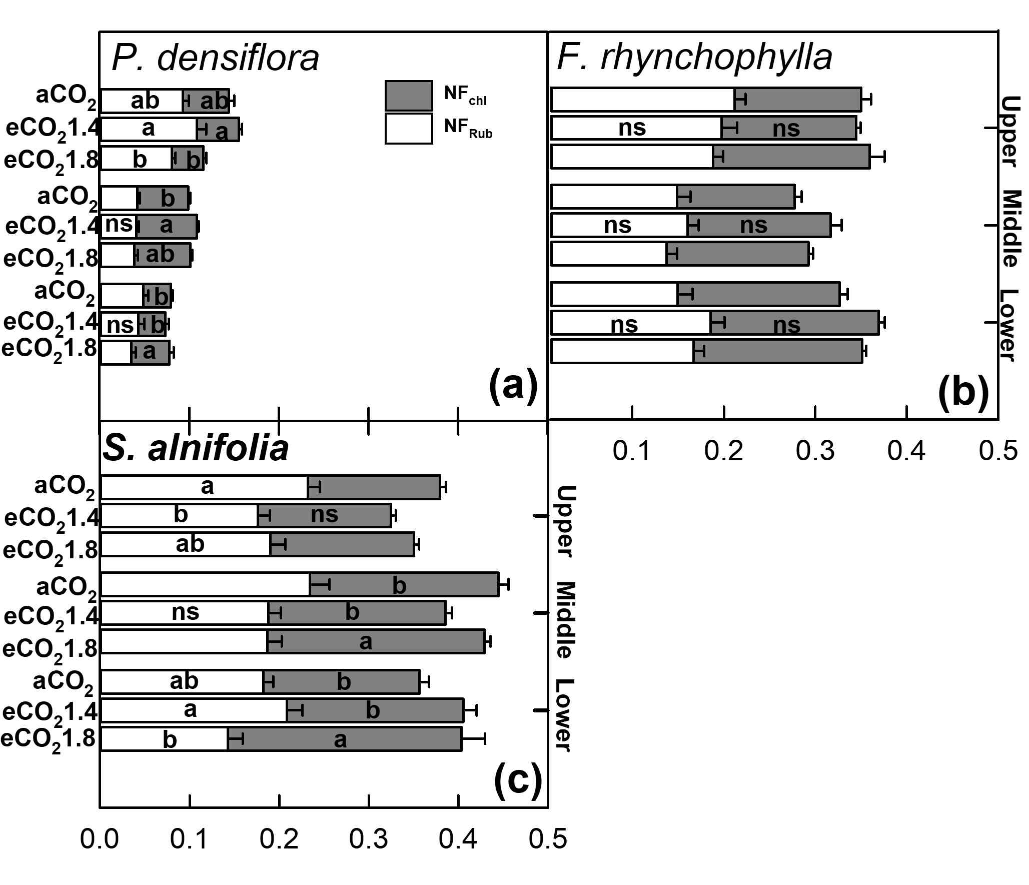 소나무(P. densifolra) : A, 물푸레나무(F.rynchophylla) : B, 팥배나무(S. alnifolia) : C의 수관별 상부(Upper), 중부(Middle), 하부(Lower)의 이산화탄소 농도에 따른 엽록소 질소 비율(NFchl)과 루비스코 질소 비율(NFRub)