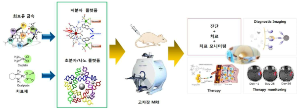 희토류 금속과 치료제를 이용한 저분자 및 초분자 진단+치료+치료모니터링 플랫폼